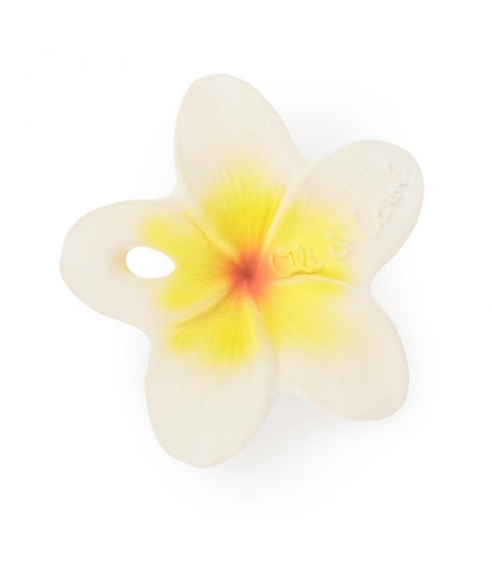 chewy to go hawai flower - OLI AND CAROL