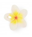 chewy to go hawai flower - OLI AND CAROL